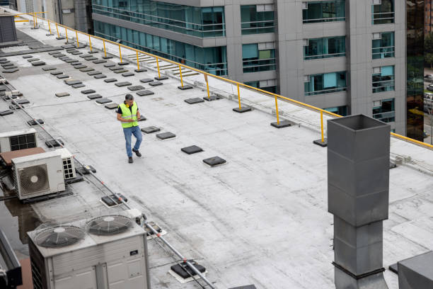 Best Roof Insulation Installation  in Hollidaysburg, PA